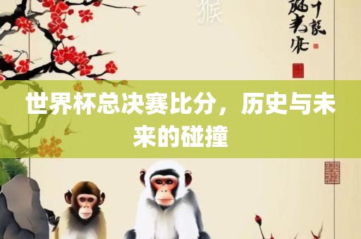 世界杯总决赛比分，历史与未来的碰撞