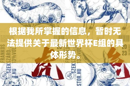 根据我所掌握的信息，暂时无法提供关于最新世界杯E组的具体形势。