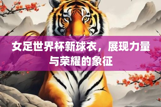 女足世界杯新球衣，展现力量与荣耀的象征