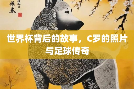 世界杯背后的故事，C罗的照片与足球传奇