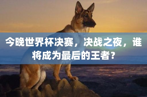 今晚世界杯决赛，决战之夜，谁将成为最后的王者？