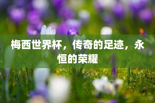 梅西世界杯，传奇的足迹，永恒的荣耀