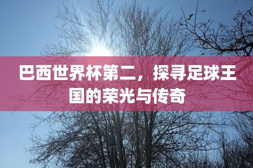 巴西世界杯第二，探寻足球王国的荣光与传奇