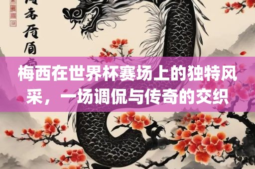 梅西在世界杯赛场上的独特风采，一场调侃与传奇的交织