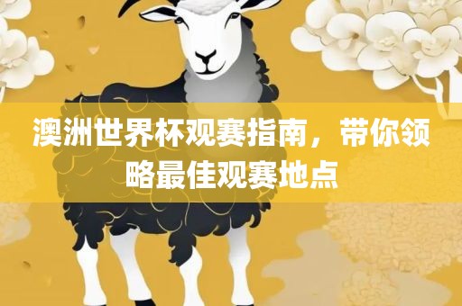 澳洲世界杯观赛指南，带你领略最佳观赛地点