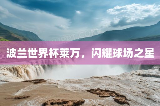 波兰世界杯莱万，闪耀球场之星