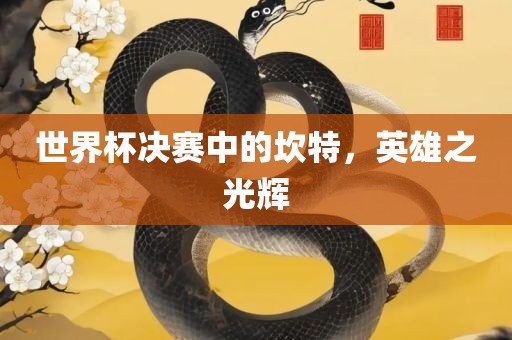 世界杯决赛中的坎特，英雄之光辉