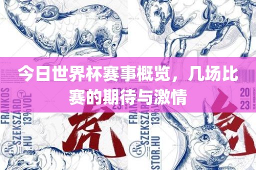 今日世界杯赛事概览，几场比赛的期待与激情