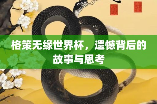 格策无缘世界杯，遗憾背后的故事与思考