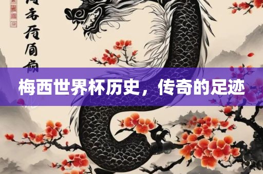 梅西世界杯历史，传奇的足迹