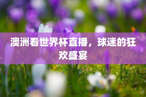 澳洲看世界杯直播，球迷的狂欢盛宴