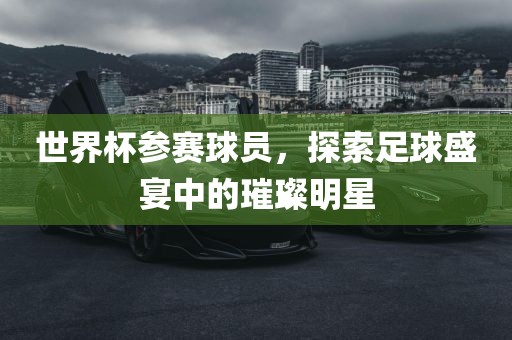 世界杯参赛球员，探索足球盛宴中的璀璨明星