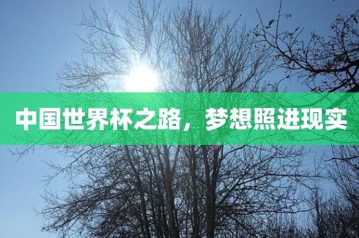 中国世界杯之路，梦想照进现实