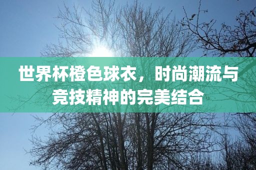 世界杯橙色球衣，时尚潮流与竞技精神的完美结合