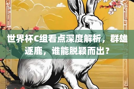 世界杯C组看点深度解析，群雄逐鹿，谁能脱颖而出？