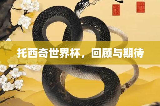 托西奇世界杯，回顾与期待