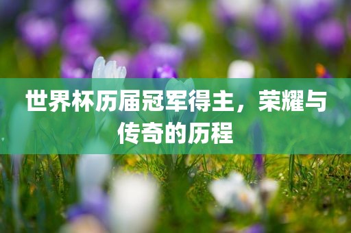 世界杯历届冠军得主，荣耀与传奇的历程