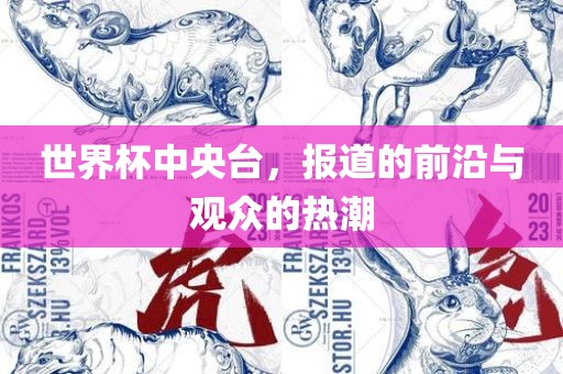 世界杯中央台，报道的前沿与观众的热潮