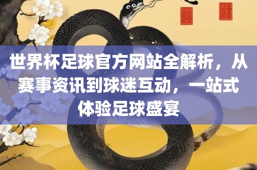 世界杯足球官方网站全解析，从赛事资讯到球迷互动，一站式体验足球盛宴