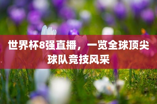世界杯8强直播，一览全球顶尖球队竞技风采