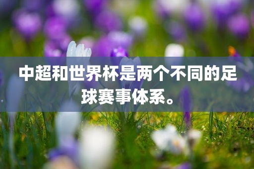 中超和世界杯是两个不同的足球赛事体系。