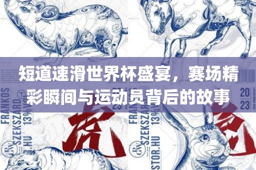 短道速滑世界杯盛宴，赛场精彩瞬间与运动员背后的故事