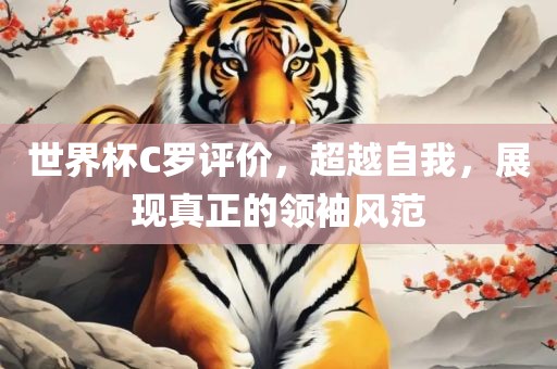 世界杯C罗评价，超越自我，展现真正的领袖风范