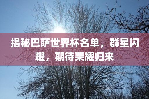 揭秘巴萨世界杯名单，群星闪耀，期待荣耀归来