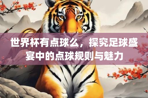 世界杯有点球么，探究足球盛宴中的点球规则与魅力