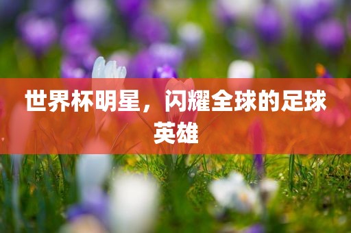 世界杯明星，闪耀全球的足球英雄