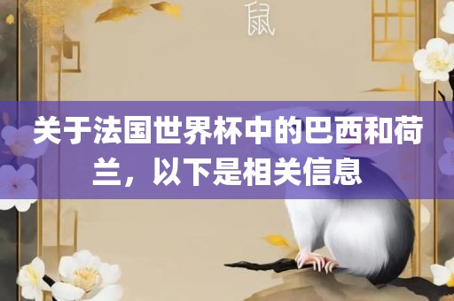 关于法国世界杯中的巴西和荷兰，以下是相关信息