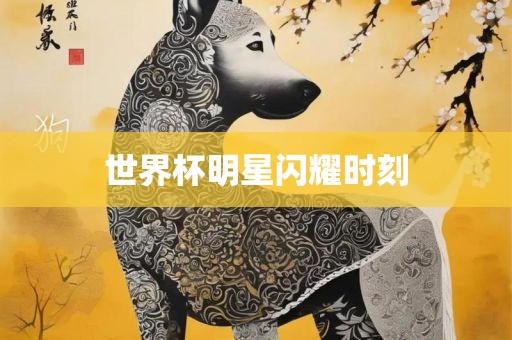 明星闪耀