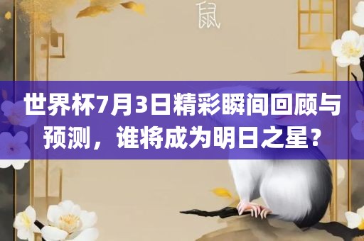世界杯7月3日精彩瞬间回顾与预测，谁将成为明日之星？