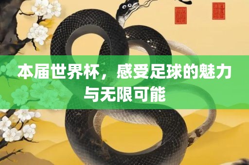 本届世界杯，感受足球的魅力与无限可能
