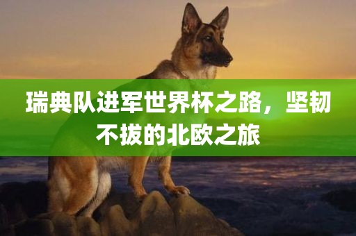 瑞典队进军世界杯之路，坚韧不拔的北欧之旅