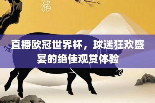 直播欧冠世界杯，球迷狂欢盛宴的绝佳观赏体验
