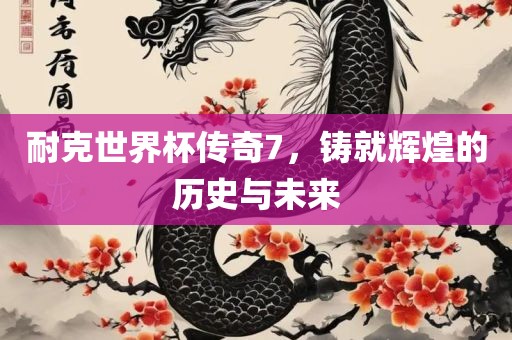 耐克世界杯传奇7，铸就辉煌的历史与未来