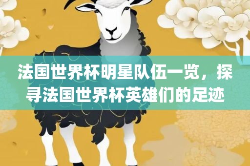 法国世界杯明星队伍一览，探寻法国世界杯英雄们的足迹