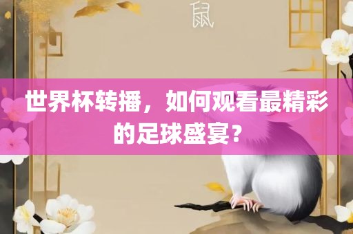世界杯转播，如何观看最精彩的足球盛宴？