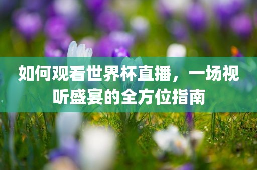 如何观看世界杯直播，一场视听盛宴的全方位指南