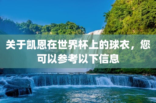 关于凯恩在世界杯上的球衣，您可以参考以下信息