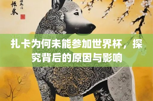 扎卡为何未能参加世界杯，探究背后的原因与影响