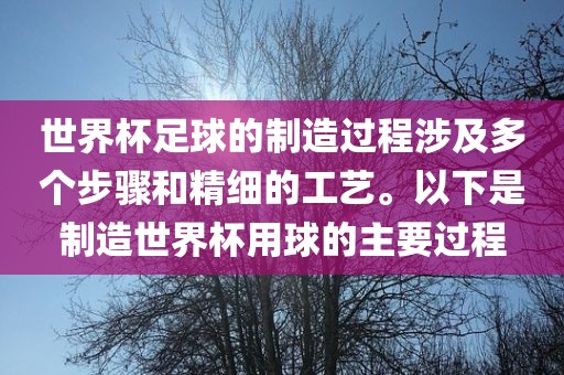 世界杯足球的制造过程涉及多个步骤和精细的工艺。以下是制造世界杯用球的主要过程