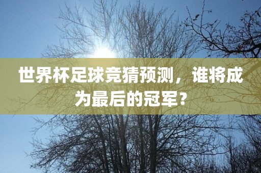 世界杯足球竞猜预测，谁将成为最后的冠军？