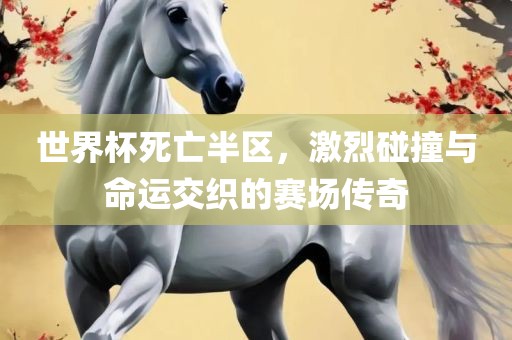世界杯死亡半区，激烈碰撞与命运交织的赛场传奇