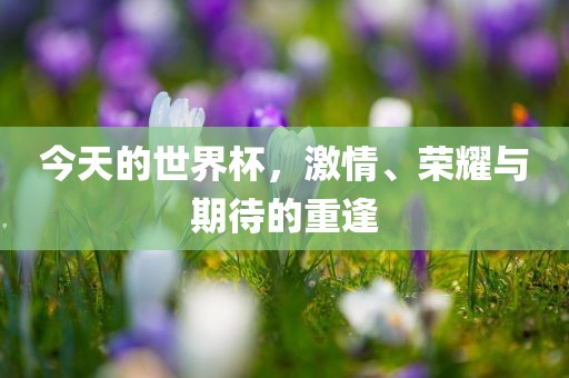 zhenzhi 第7页