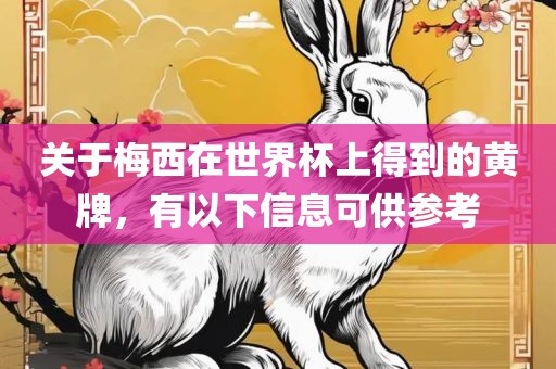 关于梅西在世界杯上得到的黄牌，有以下信息可供参考