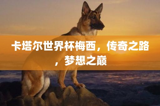 卡塔尔世界杯梅西，传奇之路，梦想之巅