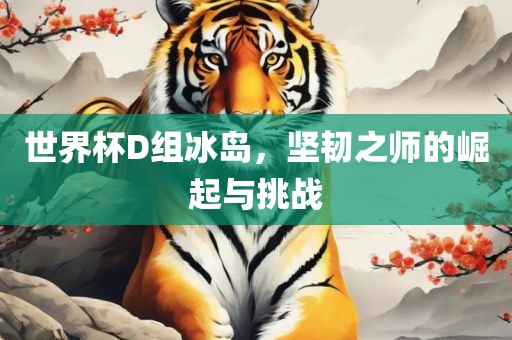 世界杯D组冰岛，坚韧之师的崛起与挑战