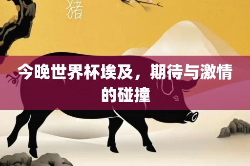 今晚世界杯埃及，期待与激情的碰撞